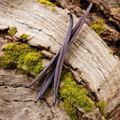 Signature Collection Reed Diffusers